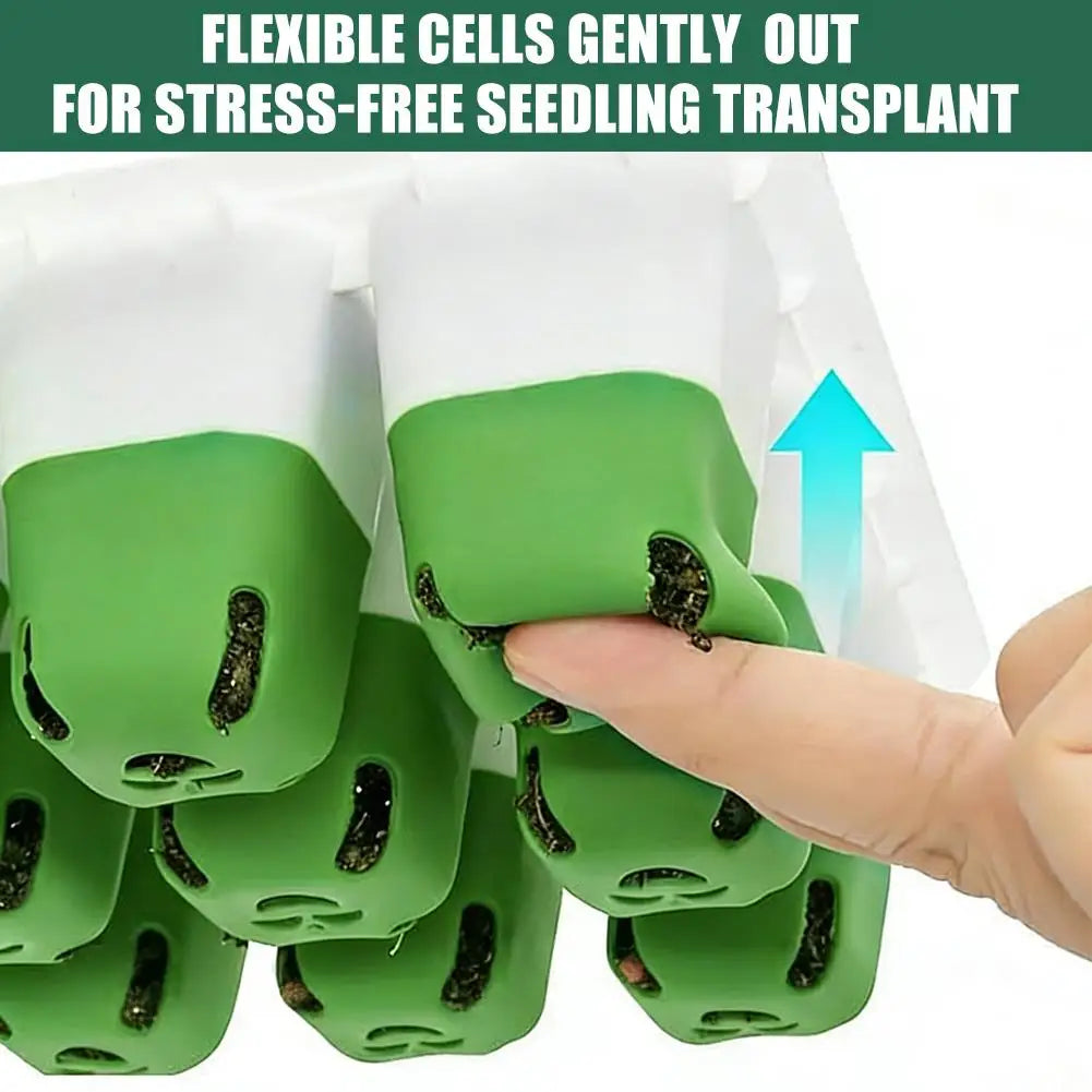 EasyGrow Seedling Kit
