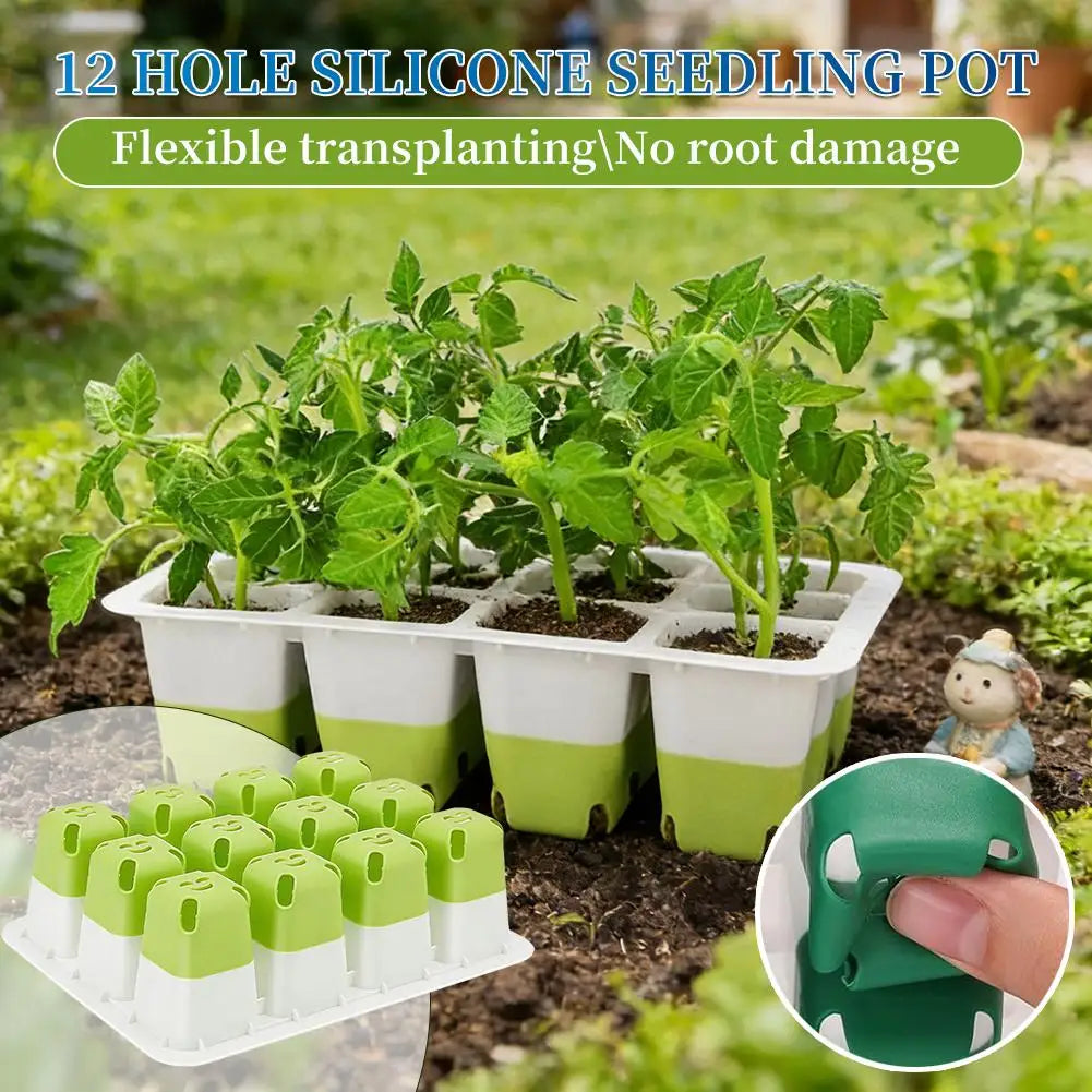 EasyGrow Seedling Kit