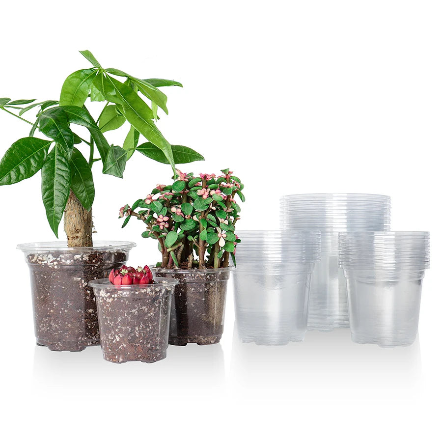 Clear Starter Plant Pots Set
