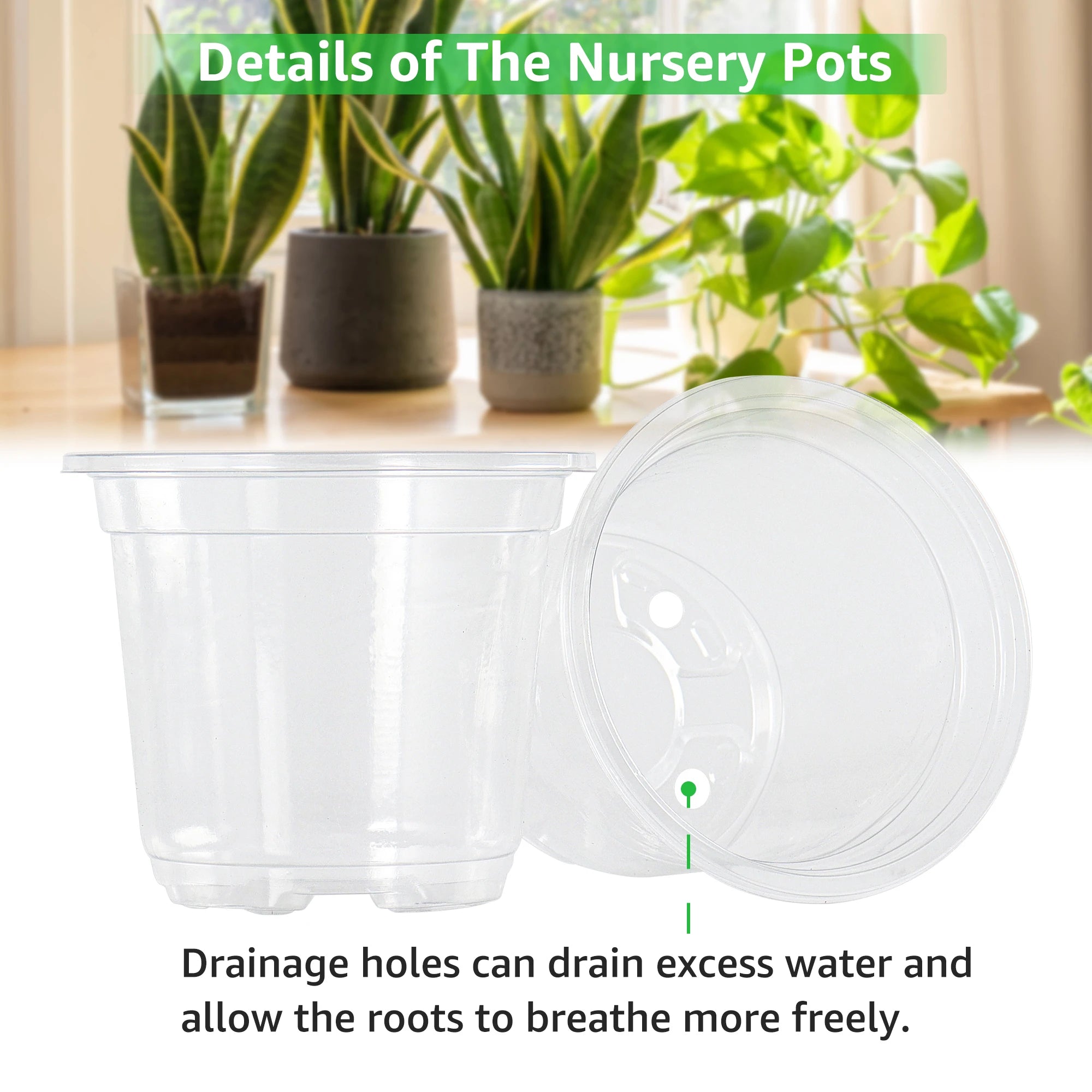 Clear Starter Plant Pots Set