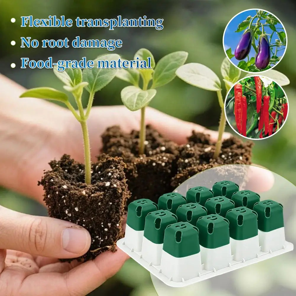 EasyGrow Seedling Kit