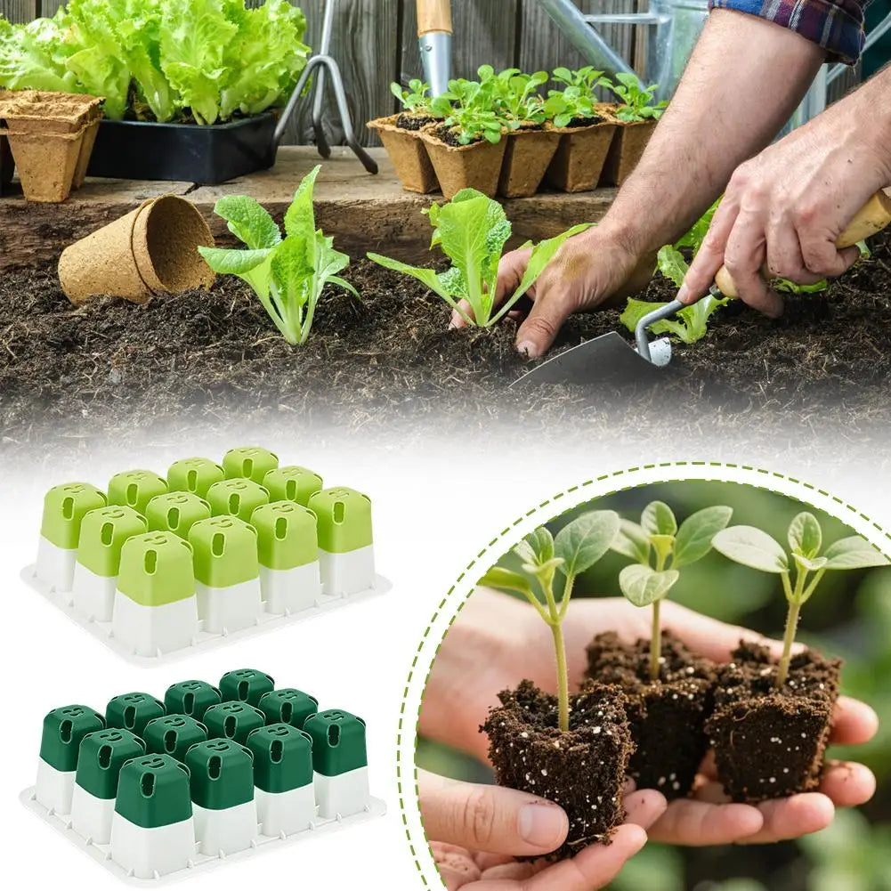 EasyGrow Seedling Kit
