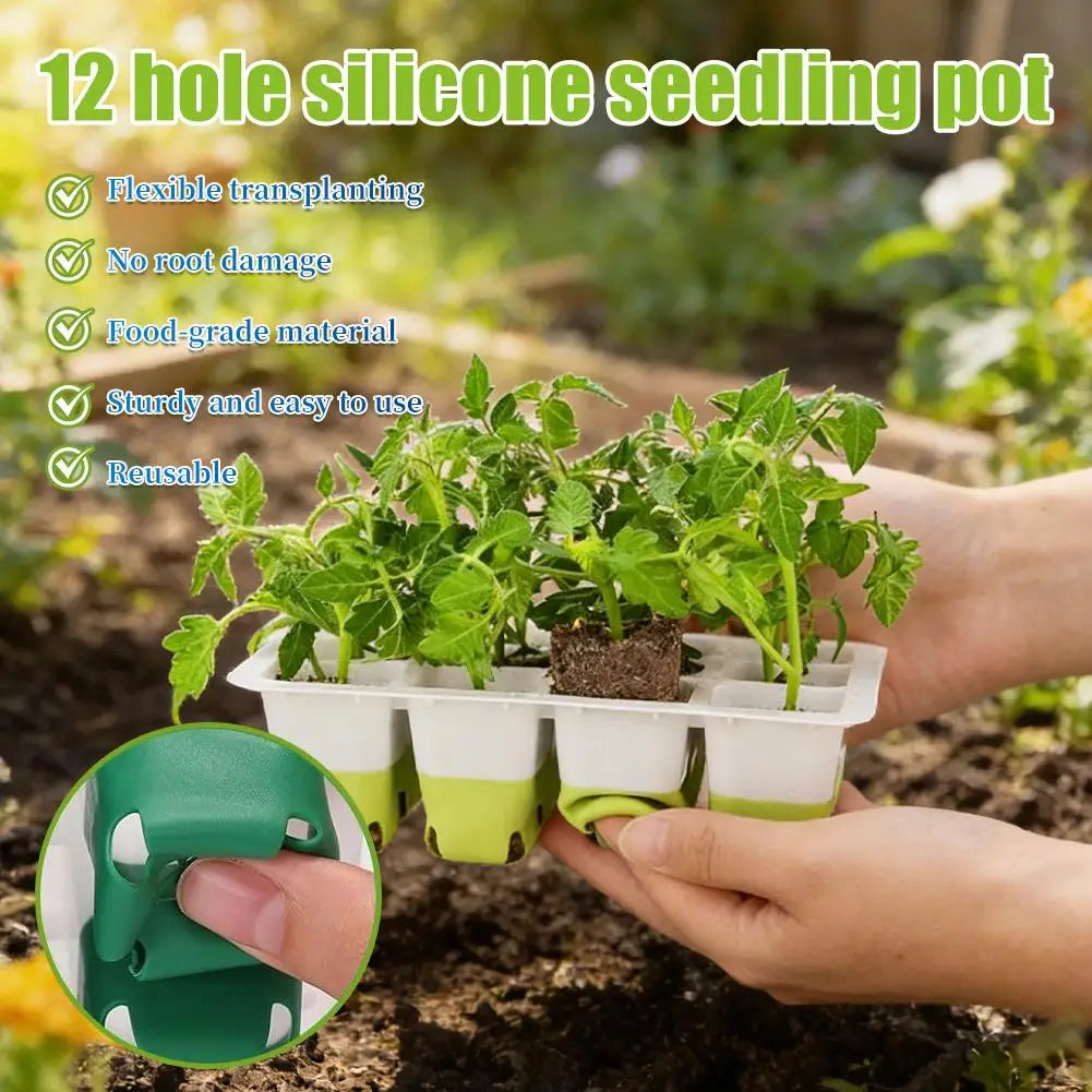 EasyGrow Seedling Kit