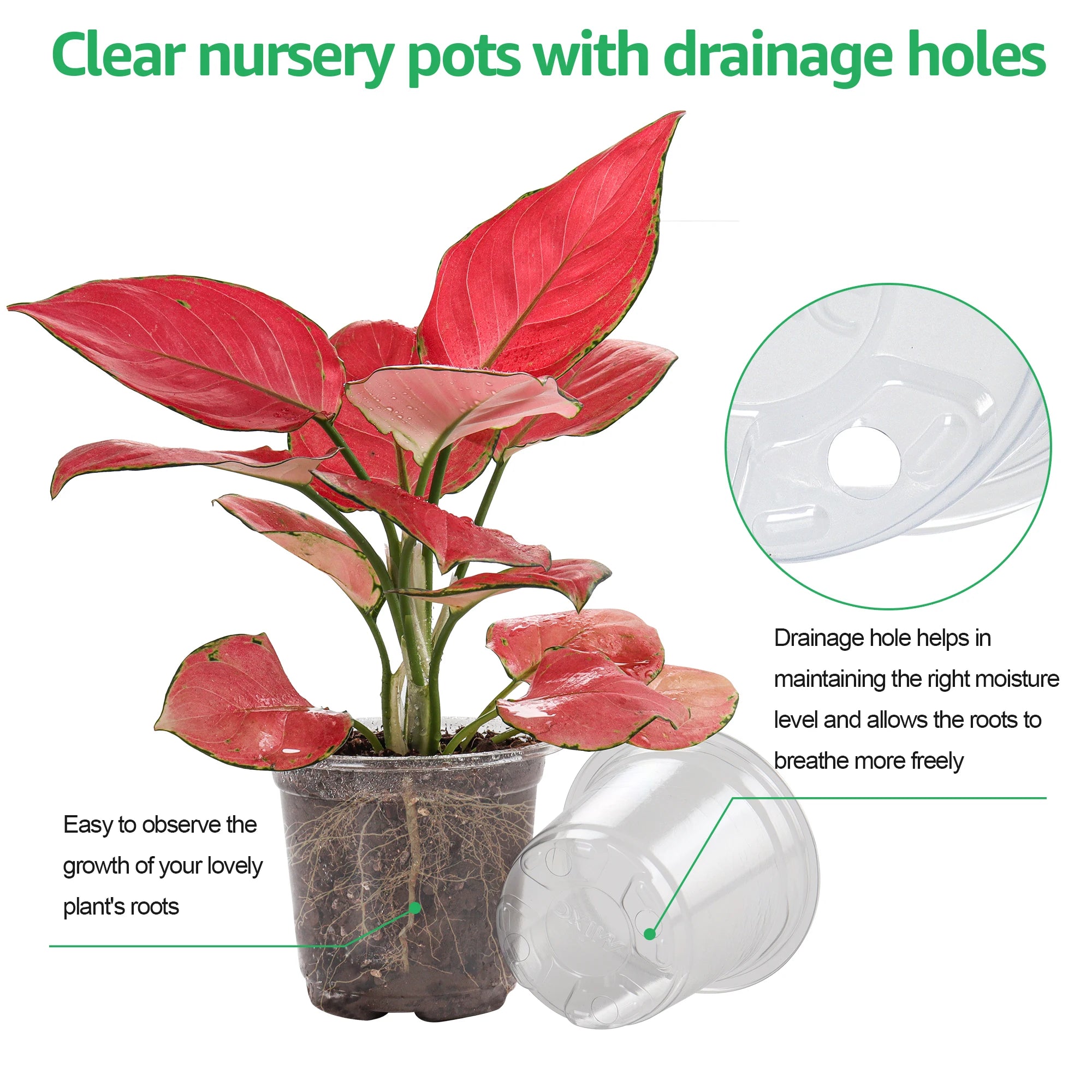 Clear Starter Plant Pots Set